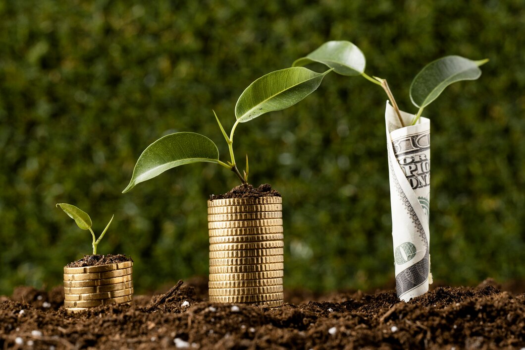 Capital Investment